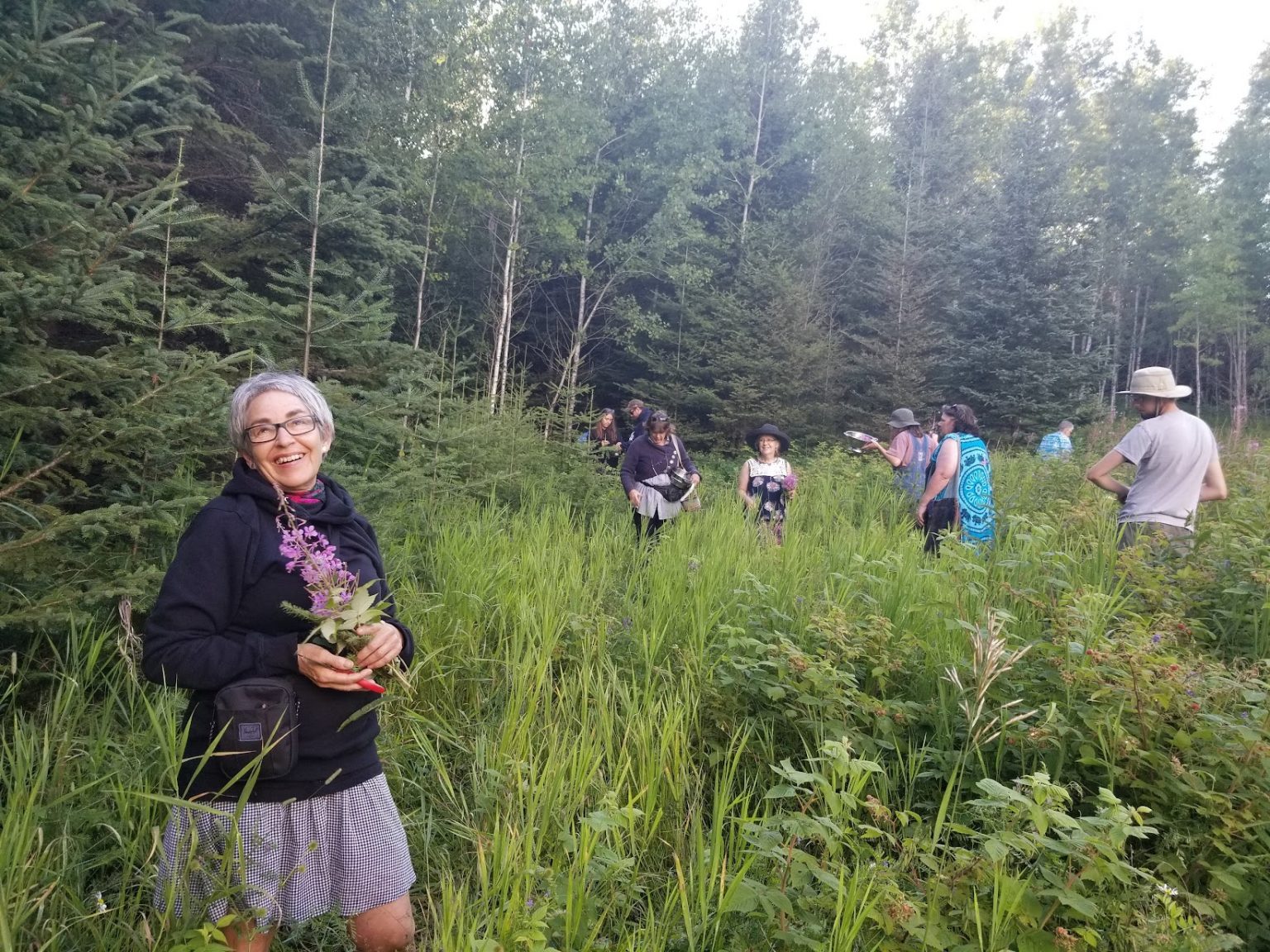 Get Involved Willow Springs Creative Centre