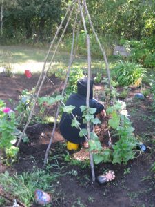 Person crouching in garden