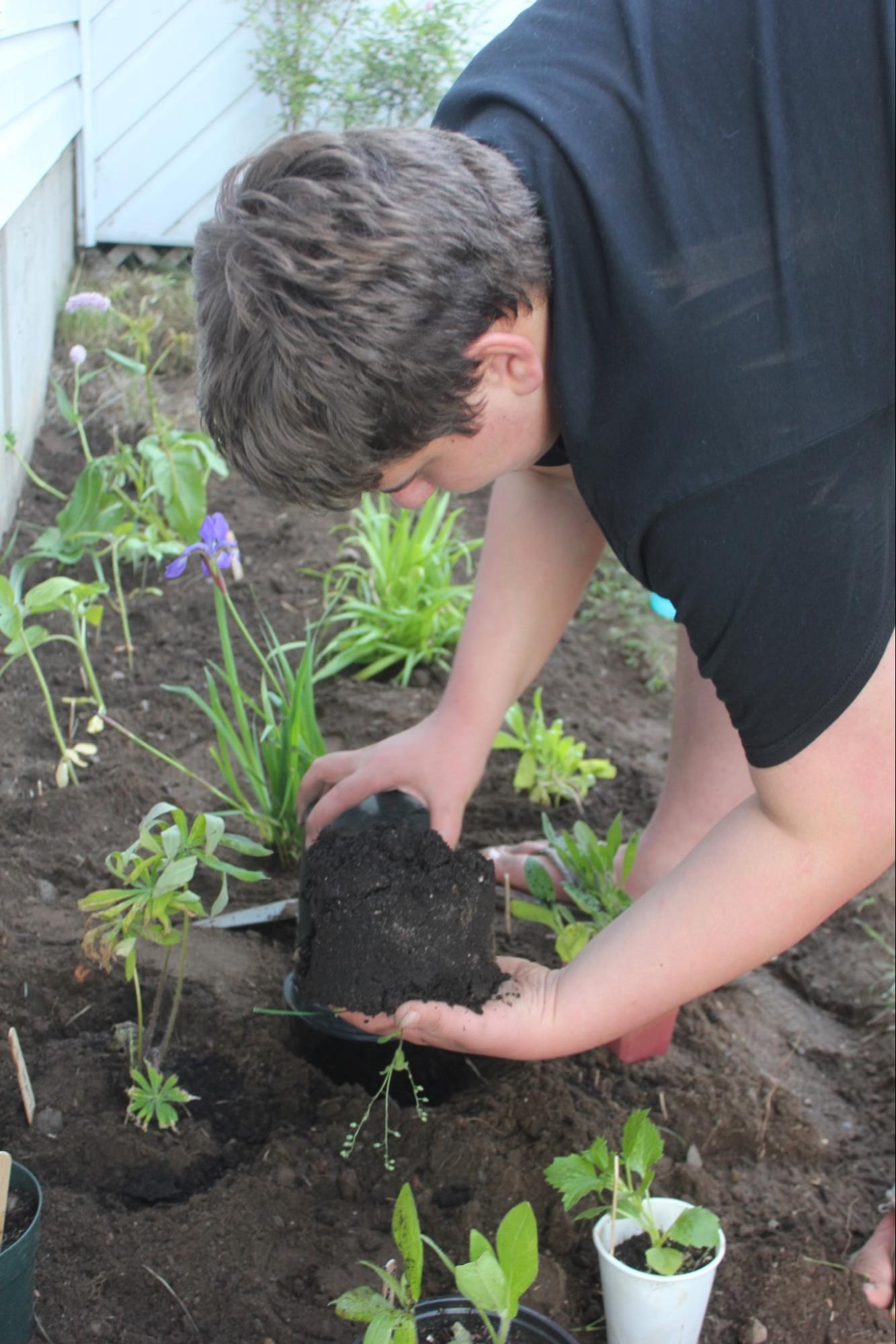 man planting