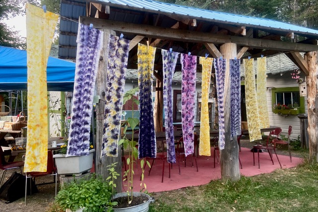 Dye garden workshop