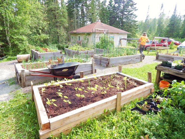 garden at WS